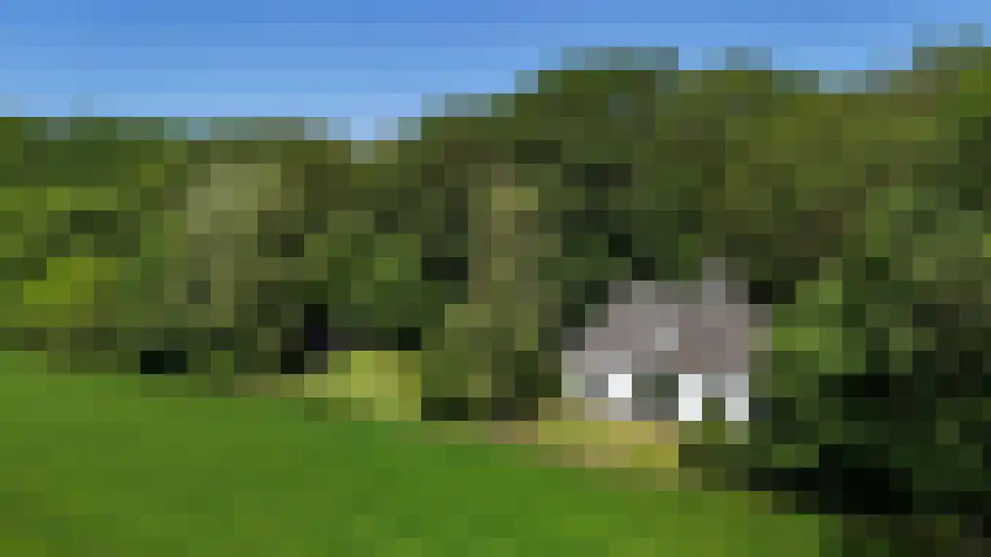 Rusingweg 2 Noord-Sleen thumbnail 6