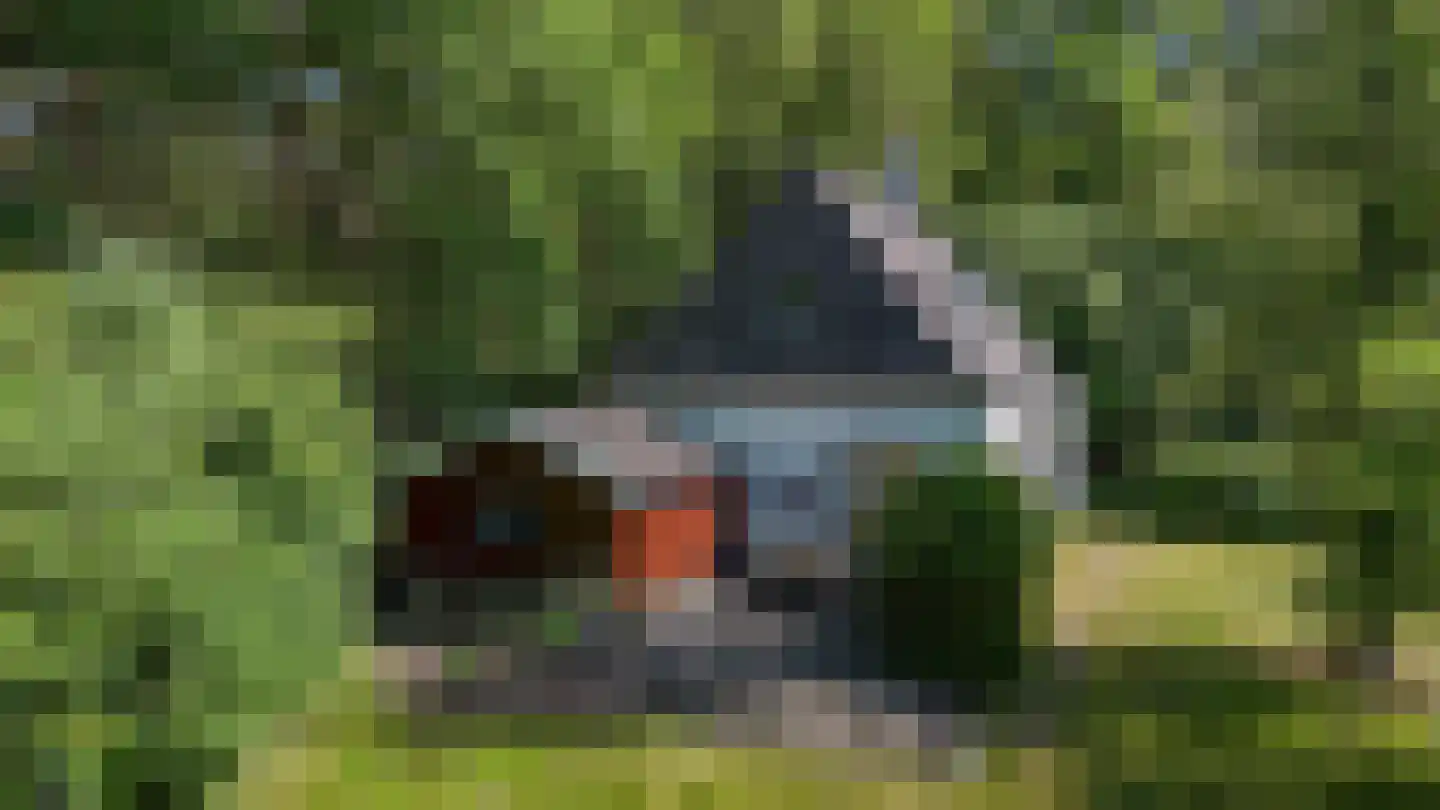 Rusingweg 2 Noord-Sleen thumbnail 7