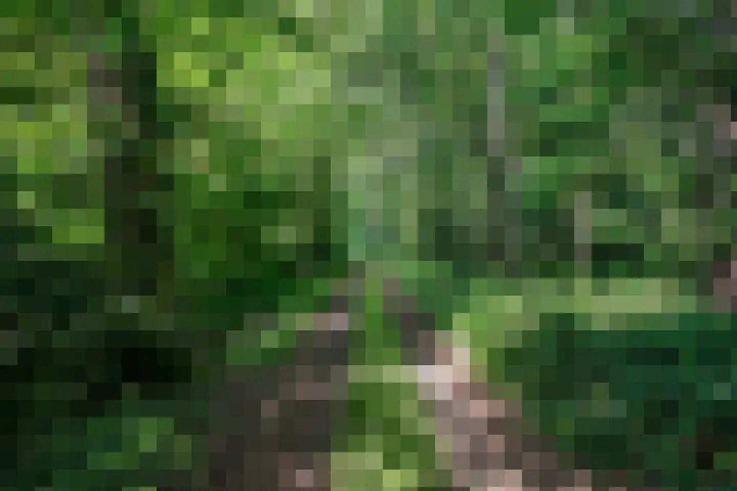 Rusingweg 2 Noord-Sleen thumbnail 8