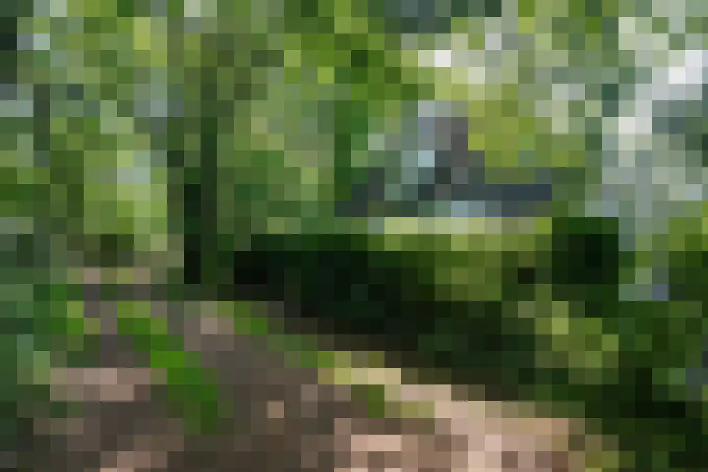 Rusingweg 2 Noord-Sleen thumbnail 9