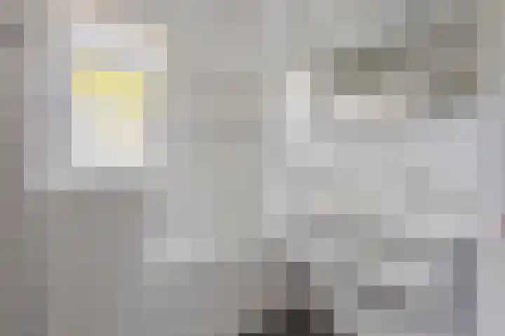 Rusken 14 Odoorn thumbnail 15