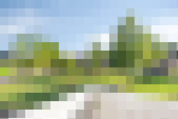Rusken 14 Odoorn thumbnail 24