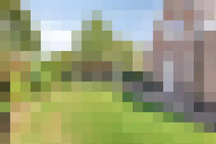 Rusken 14 Odoorn thumbnail 27