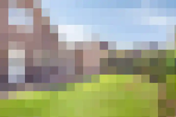 Rusken 14 Odoorn thumbnail 28