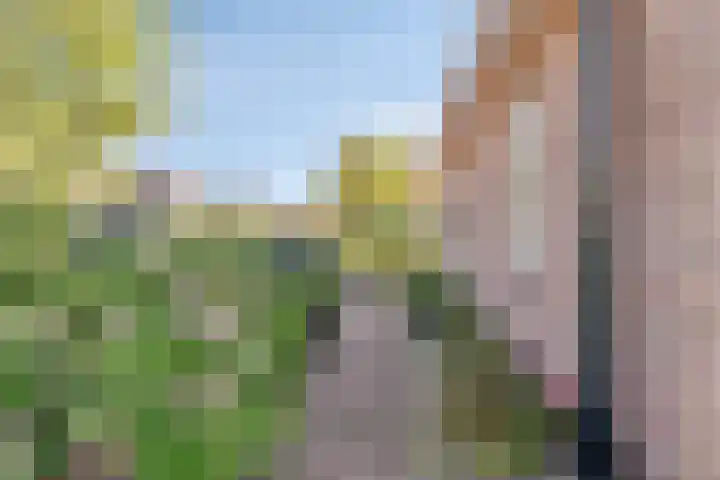 Rusken 14 Odoorn thumbnail 30