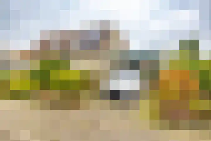 Ruskenstukken 19 in Eelde