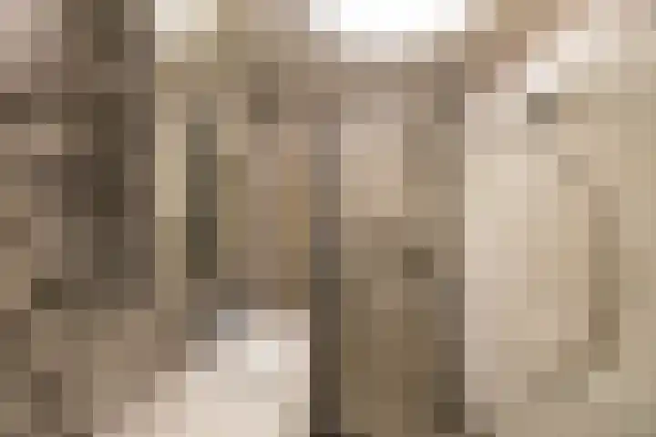 Ruskenstukken 19 Eelde thumbnail 10