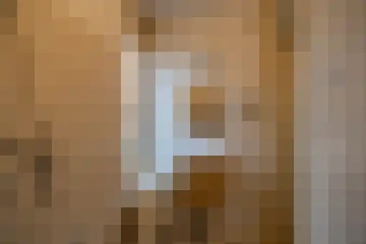 Ruskenstukken 19 Eelde thumbnail 18