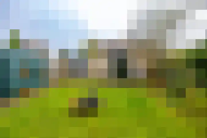 Ruskenstukken 19 Eelde thumbnail 20