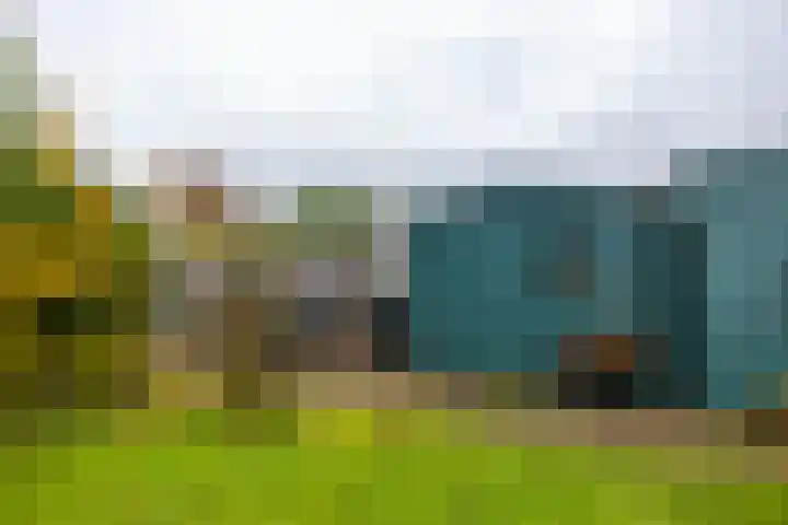 Ruskenstukken 19 Eelde thumbnail 21
