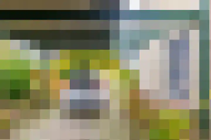 Ruskenstukken 19 Eelde thumbnail 23