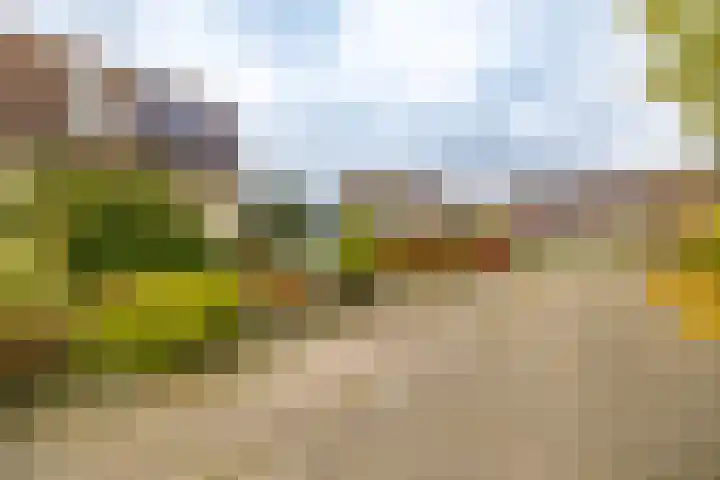 Ruskenstukken 19 Eelde thumbnail 24
