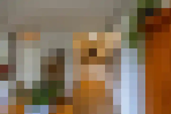 Ruskenstukken 19 Eelde thumbnail 8