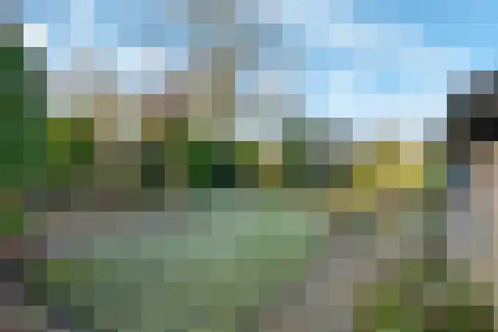 Ruskkamp 2 Westerbork thumbnail 34