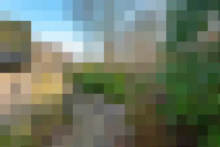 Ruskkamp 2 Westerbork thumbnail 36