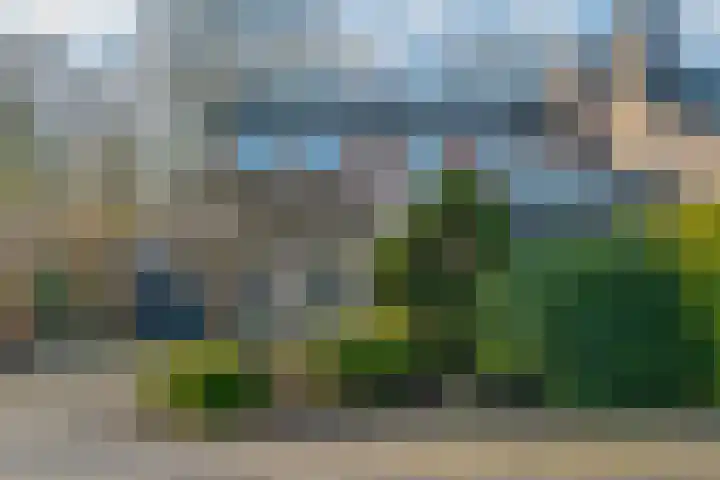 Ruskkamp 2 Westerbork thumbnail 4