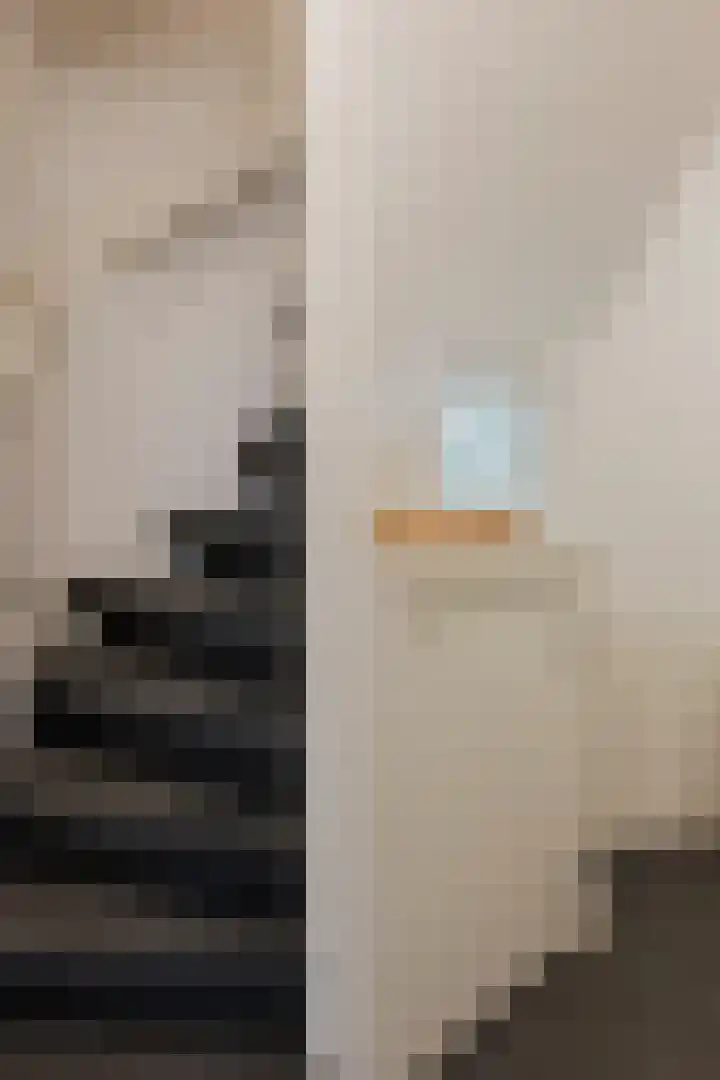 Rusland 29 B Amsterdam thumbnail 19