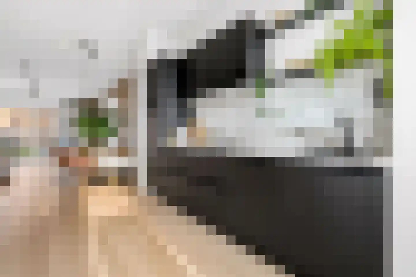 Ruslandkade 34 Almere thumbnail 4