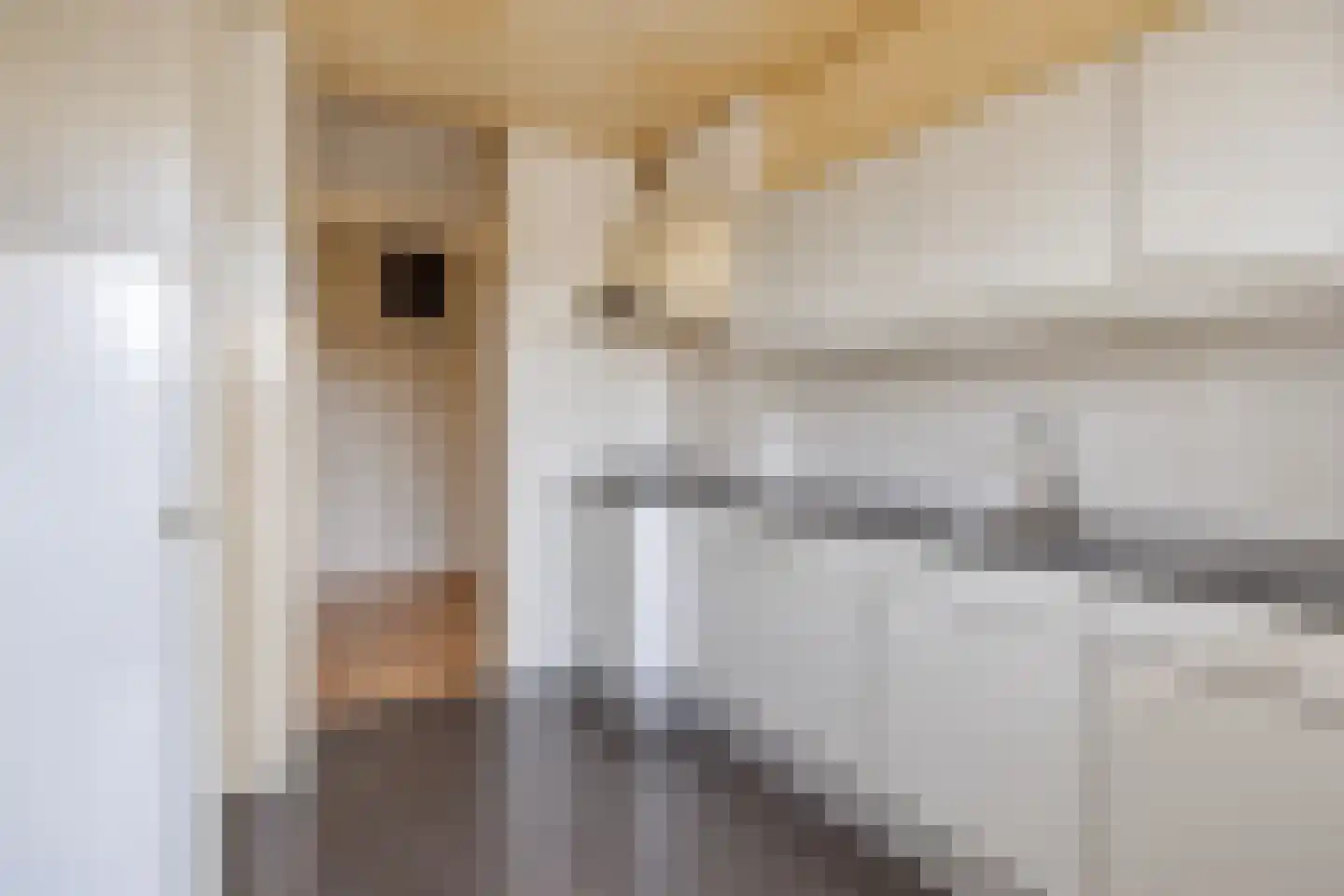 Ruslandstraat 19 Haarlem thumbnail 12