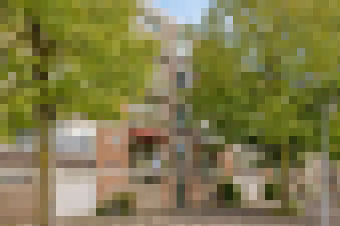 Ruslandstraat 19 Haarlem thumbnail 18