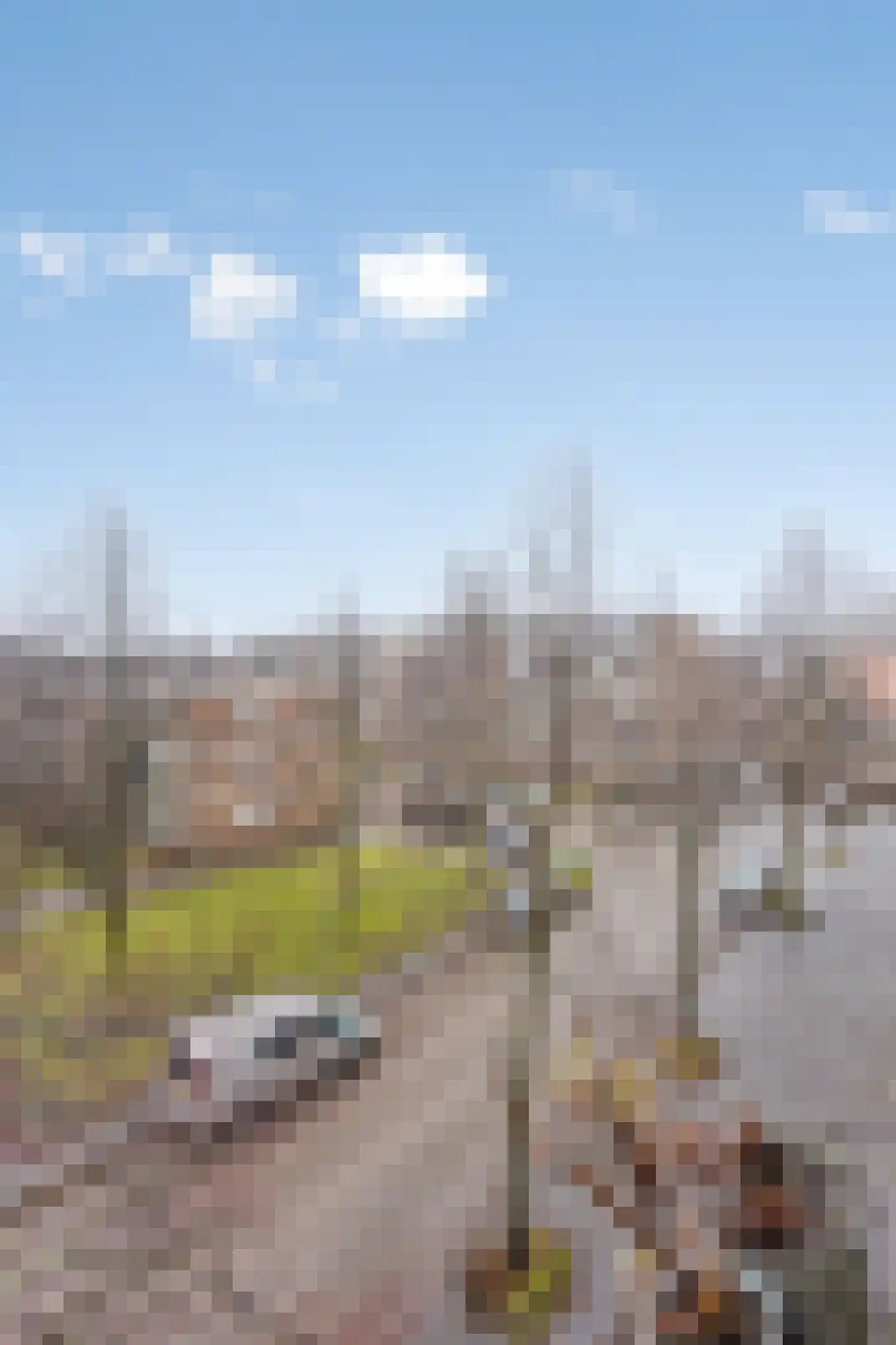 Ruslandstraat 55 Haarlem thumbnail 30