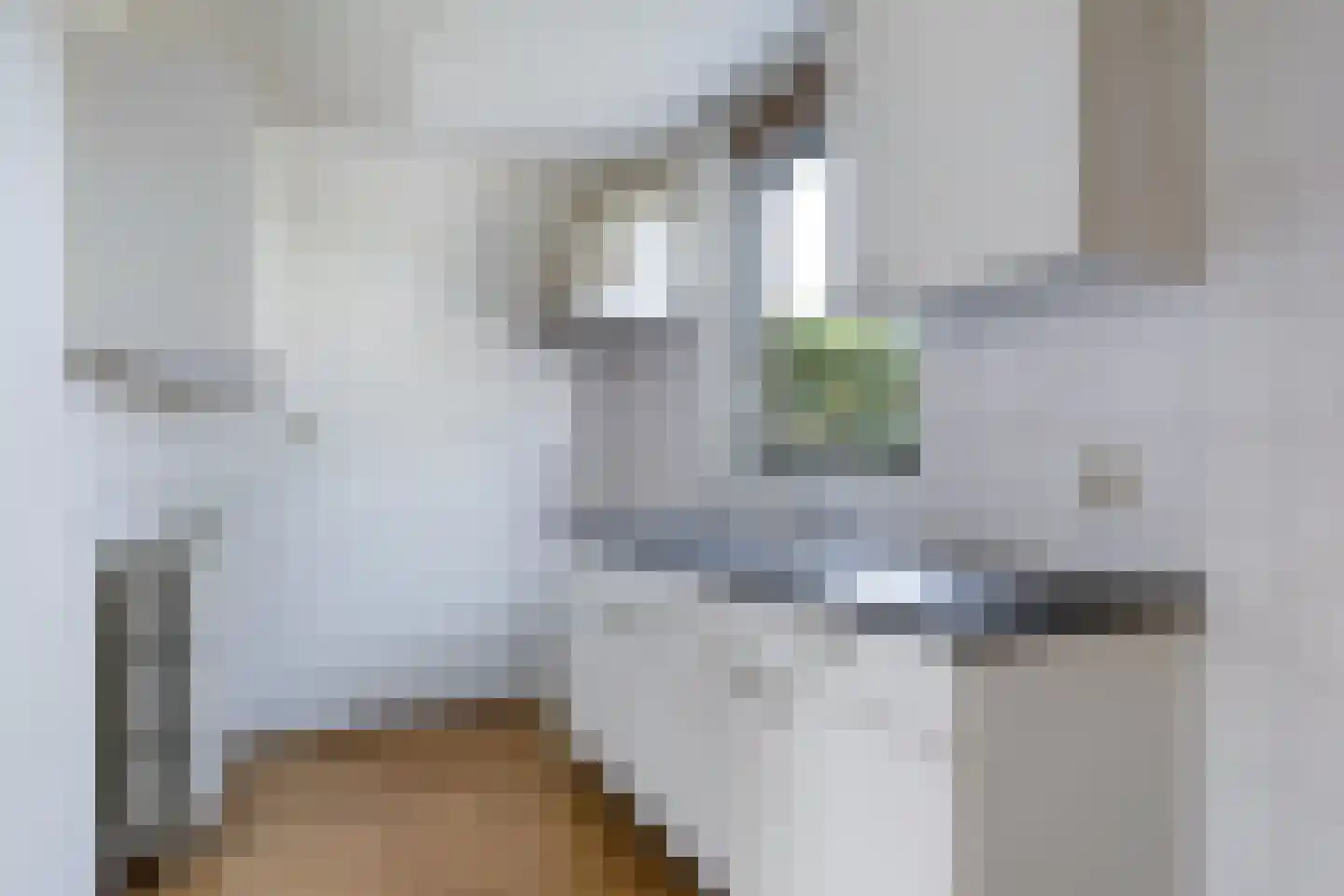 Russchenreed 10 Wijnjewoude thumbnail 14