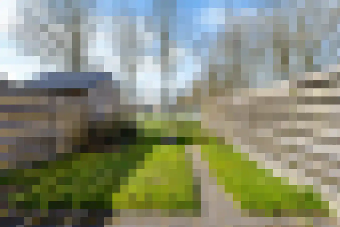 Russchenreed 10 Wijnjewoude thumbnail 18