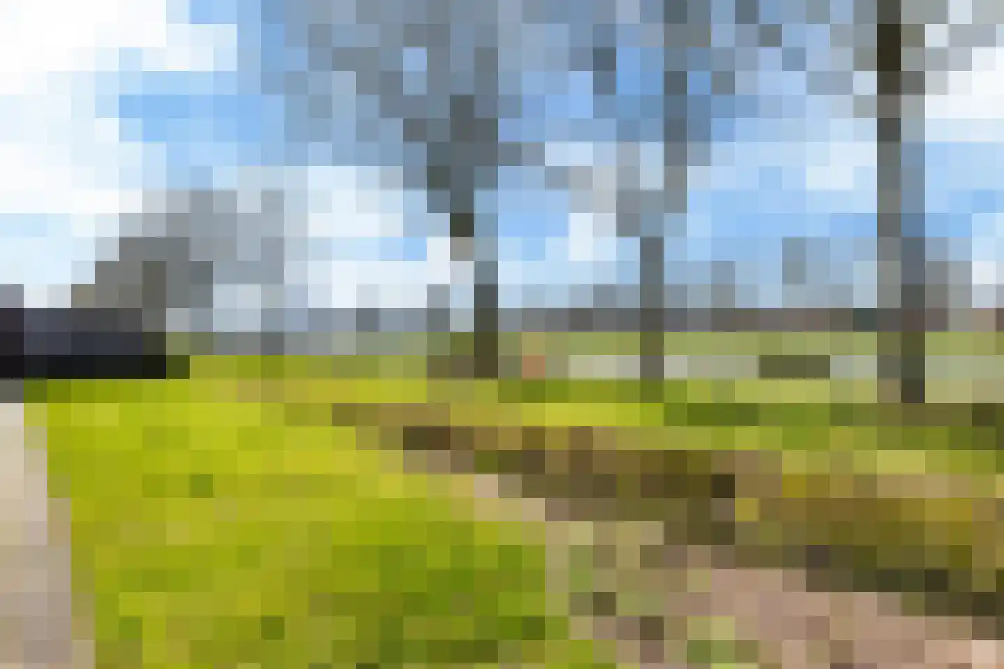 Russchenreed 10 Wijnjewoude thumbnail 19
