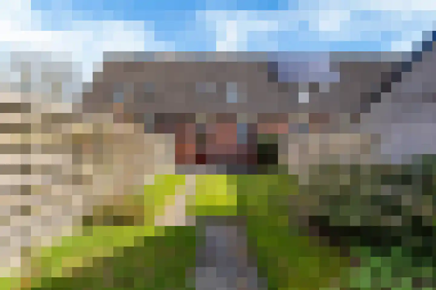 Russchenreed 10 Wijnjewoude thumbnail 20
