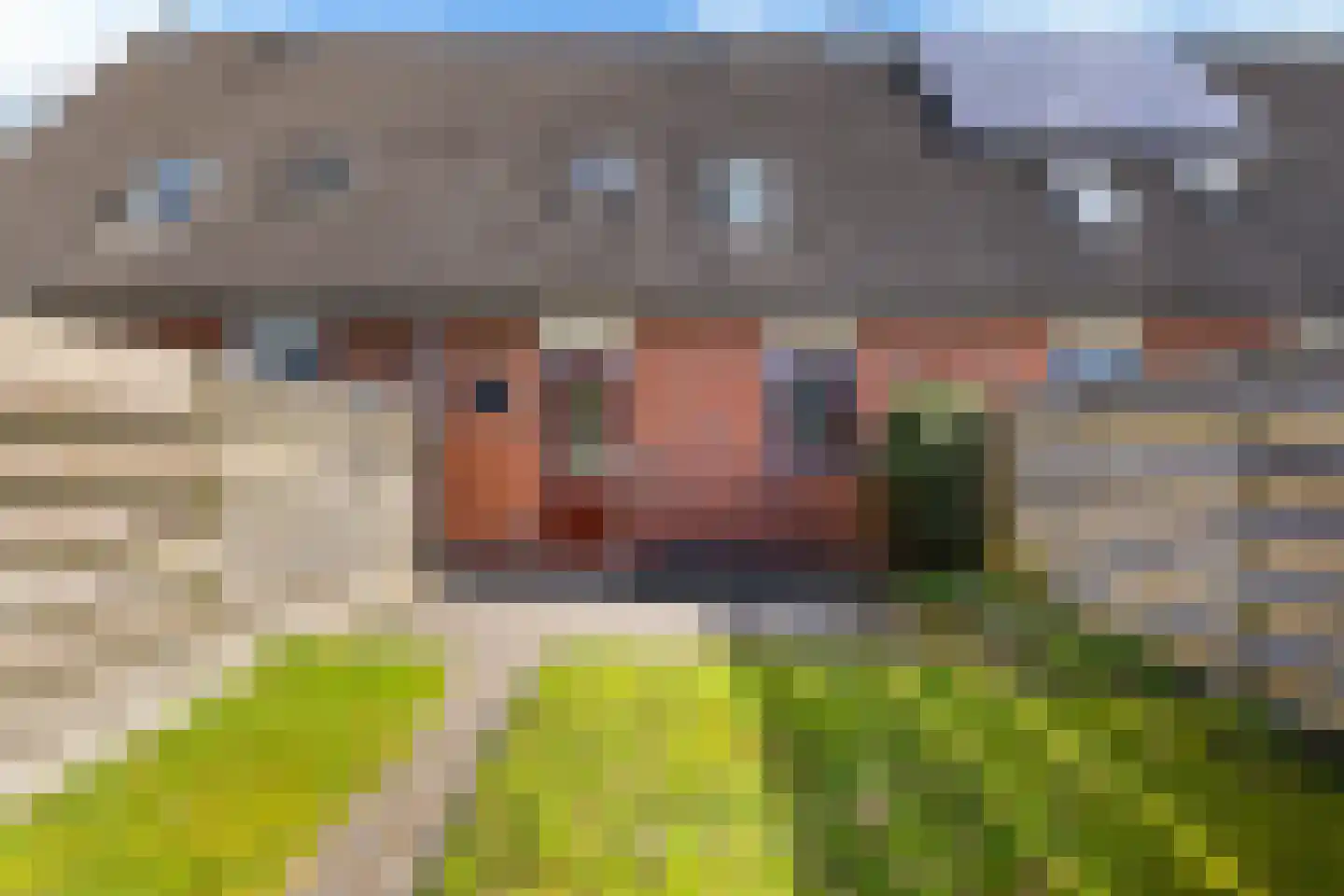 Russchenreed 10 Wijnjewoude thumbnail 21