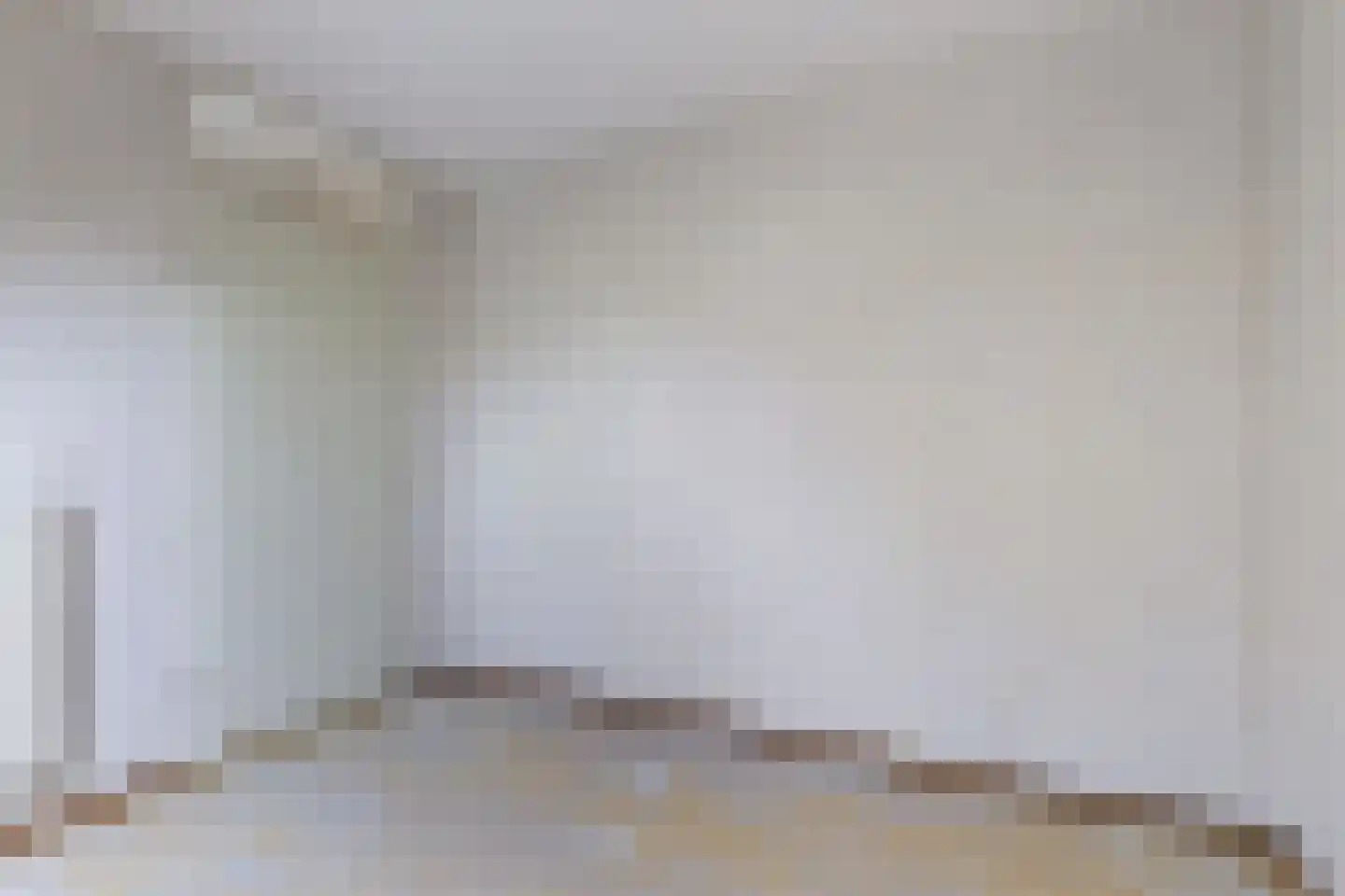 Russchenreed 10 Wijnjewoude thumbnail 24
