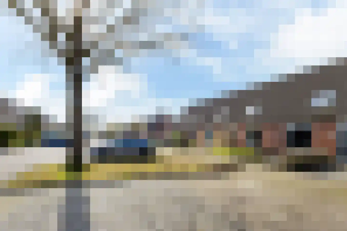 Russchenreed 10 Wijnjewoude thumbnail 4