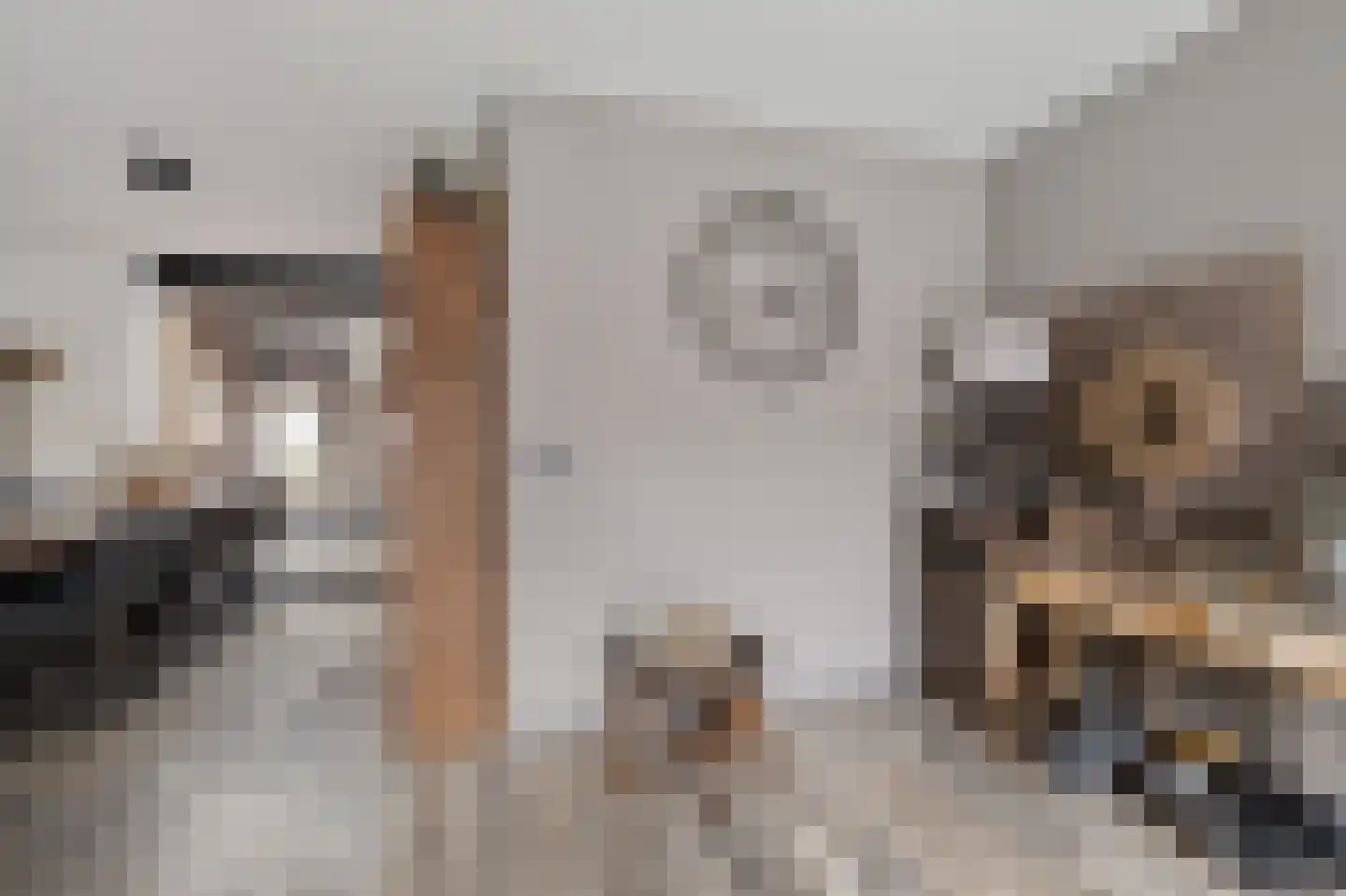 Russchenreed 15 Wijnjewoude thumbnail 11