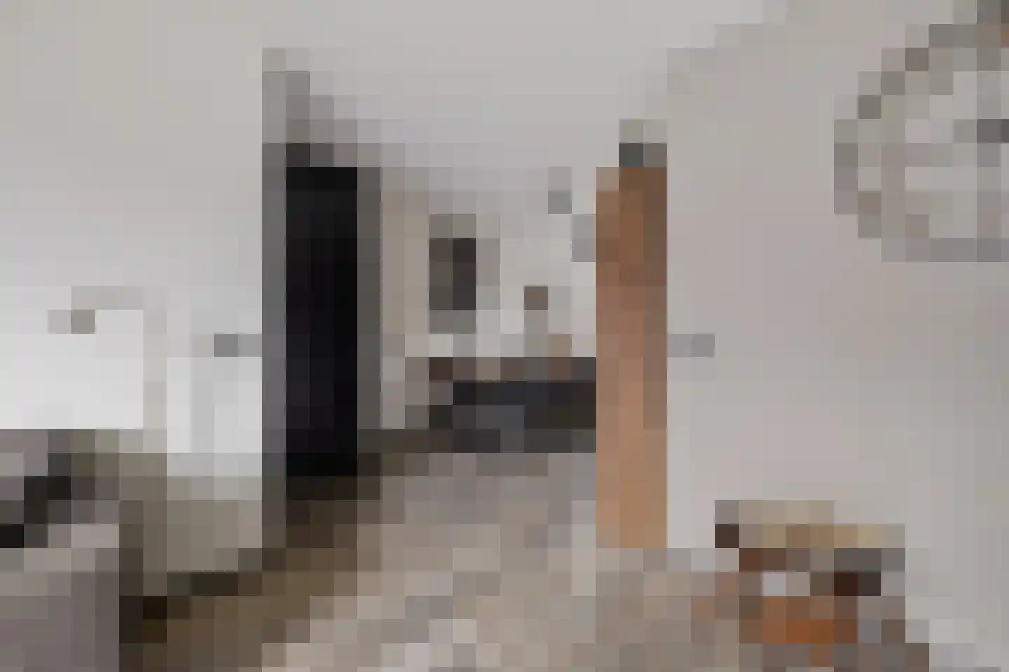 Russchenreed 15 Wijnjewoude thumbnail 12