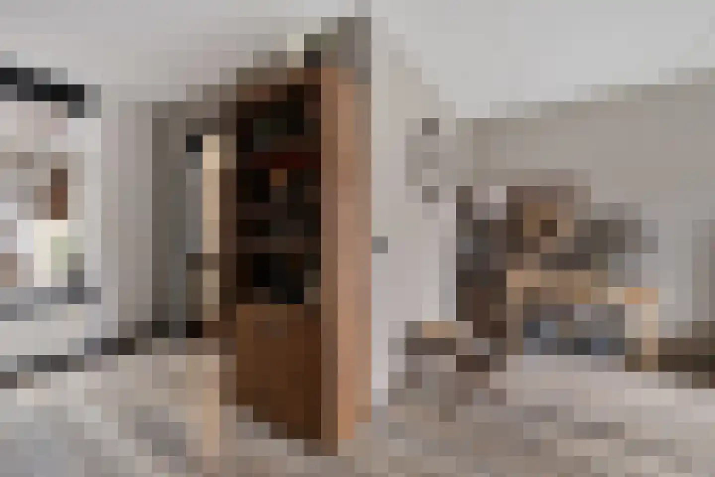 Russchenreed 15 Wijnjewoude thumbnail 13