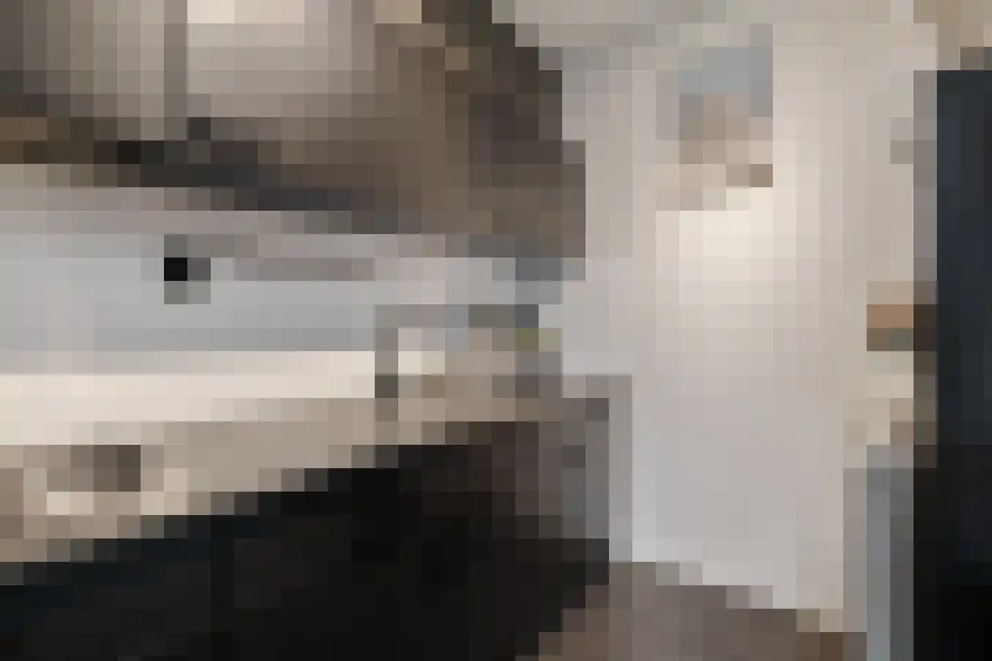 Russchenreed 15 Wijnjewoude thumbnail 16