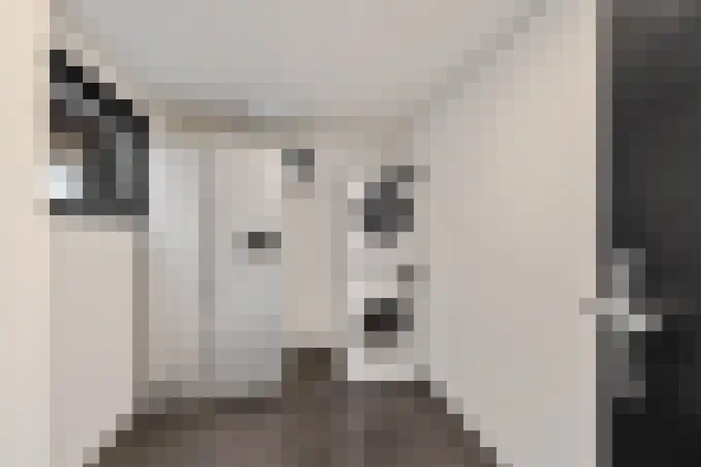 Russchenreed 15 Wijnjewoude thumbnail 18