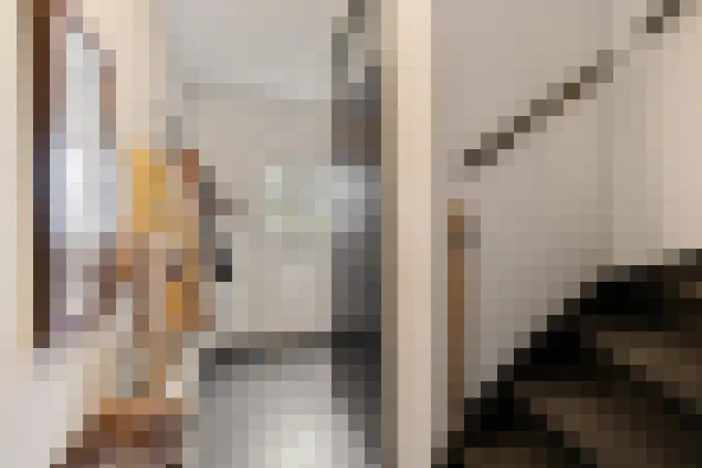 Russchenreed 15 Wijnjewoude thumbnail 19