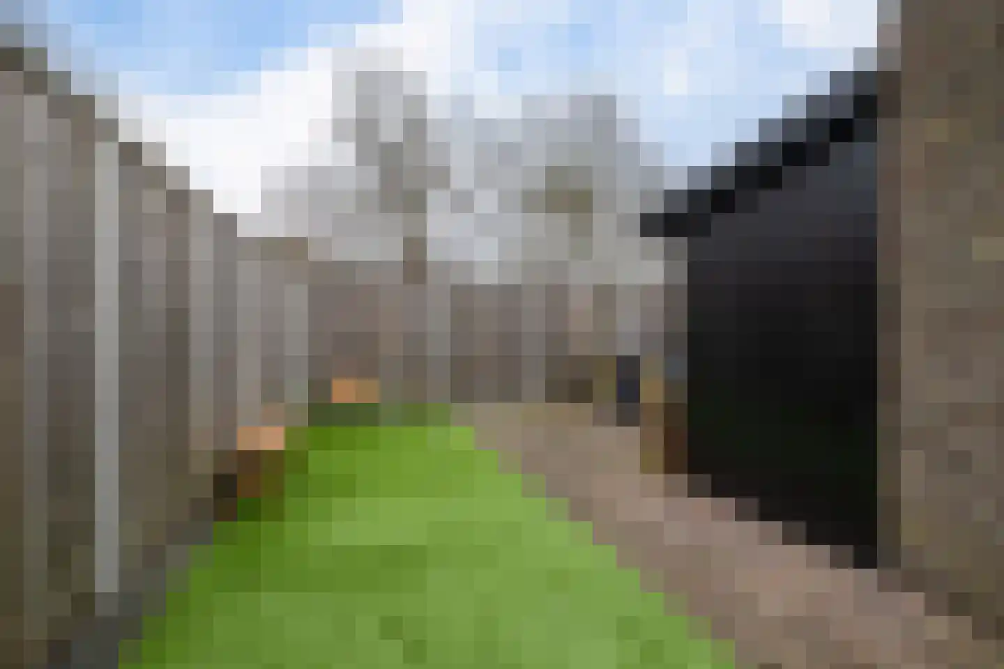 Russchenreed 15 Wijnjewoude foto 2