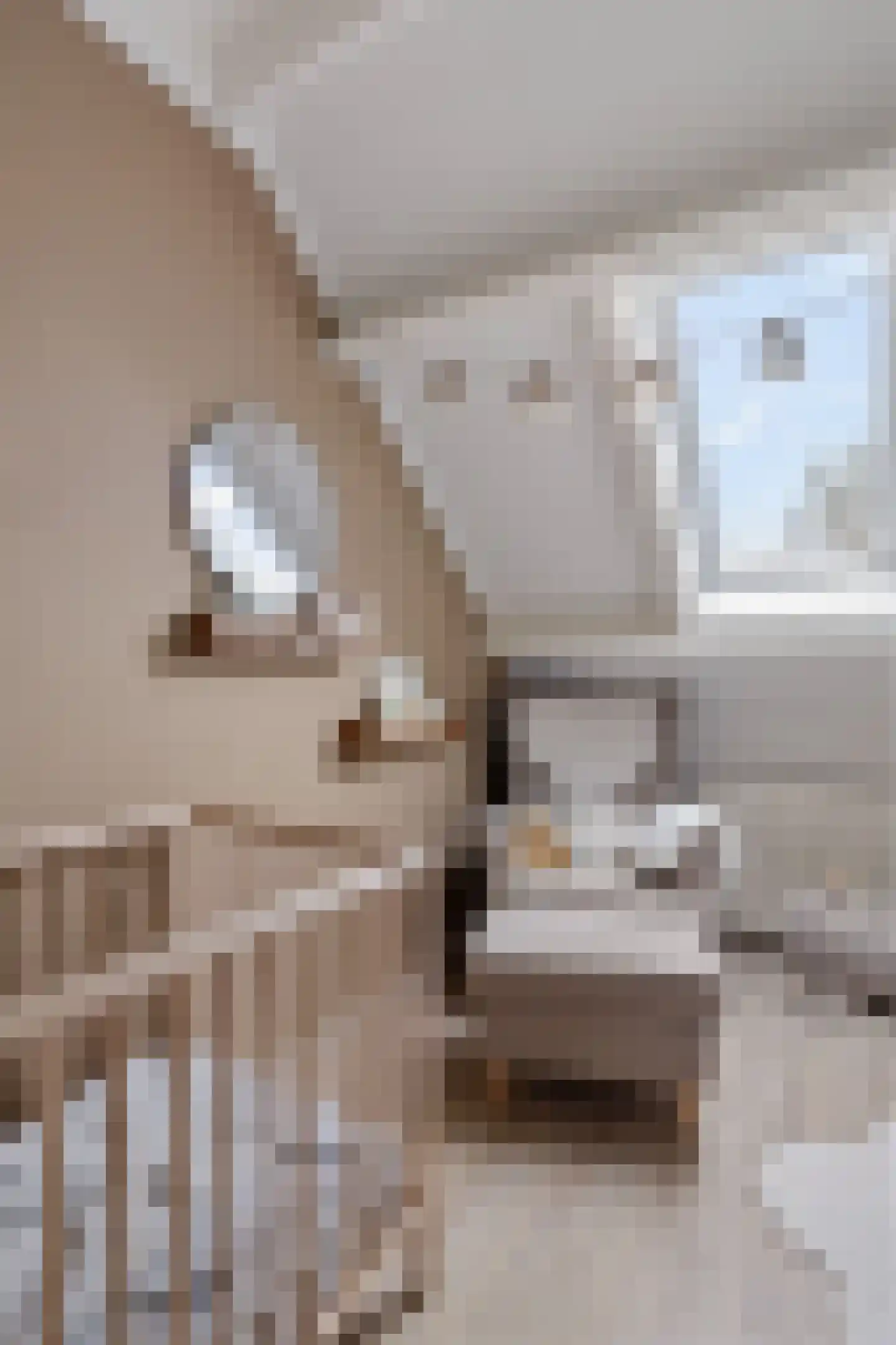 Russchenreed 15 Wijnjewoude thumbnail 23