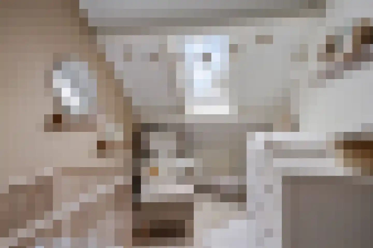 Russchenreed 15 Wijnjewoude thumbnail 24