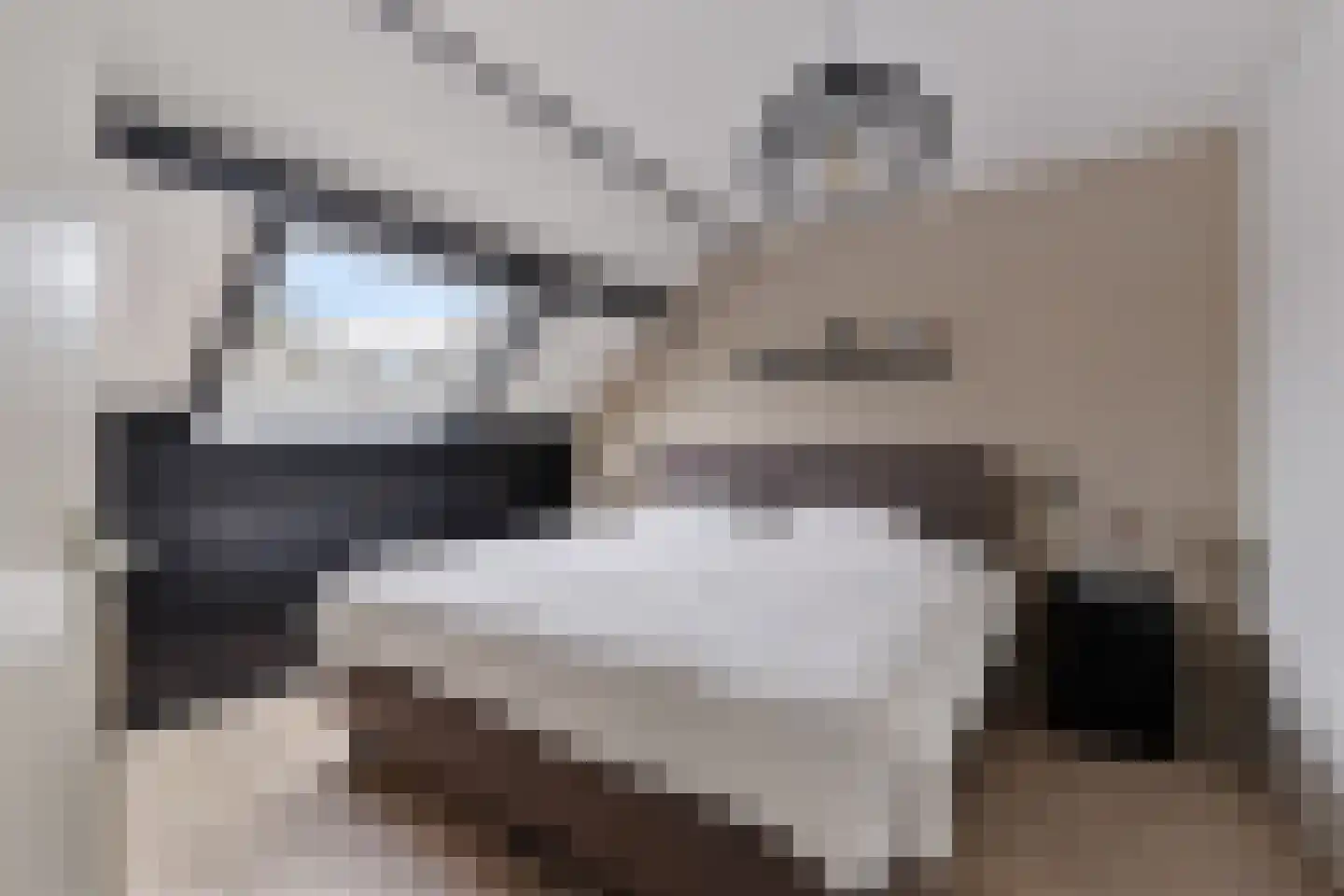 Russchenreed 15 Wijnjewoude thumbnail 25