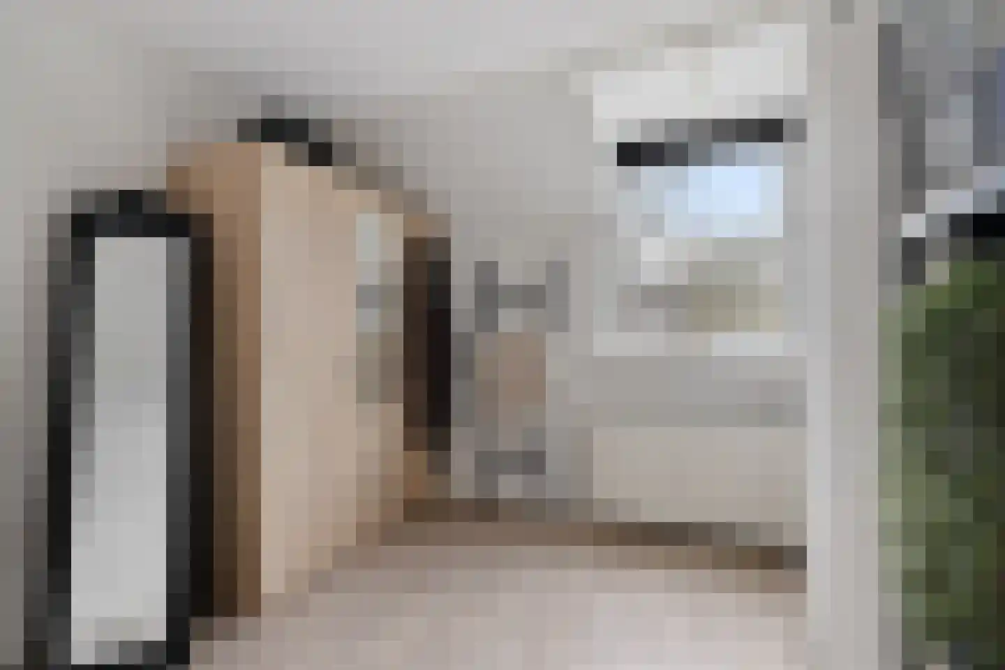 Russchenreed 15 Wijnjewoude thumbnail 28