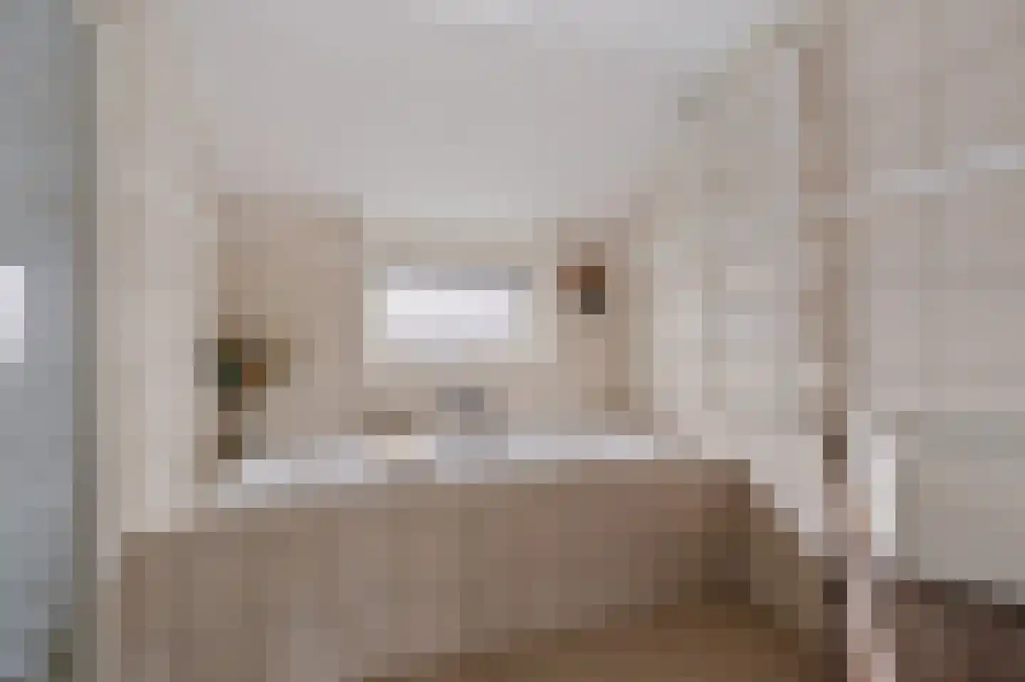 Russchenreed 15 Wijnjewoude thumbnail 29