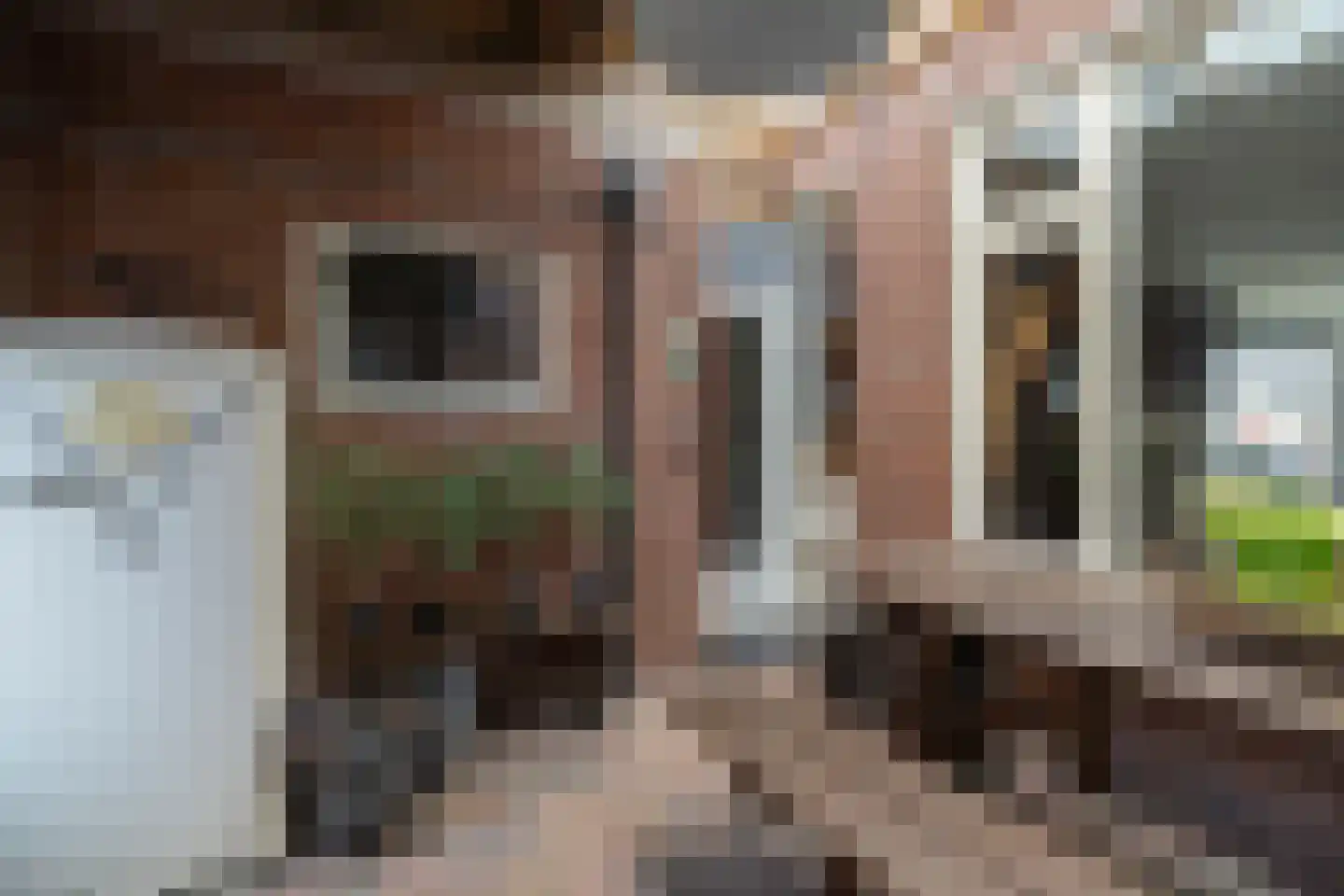 Russchenreed 15 Wijnjewoude thumbnail 34