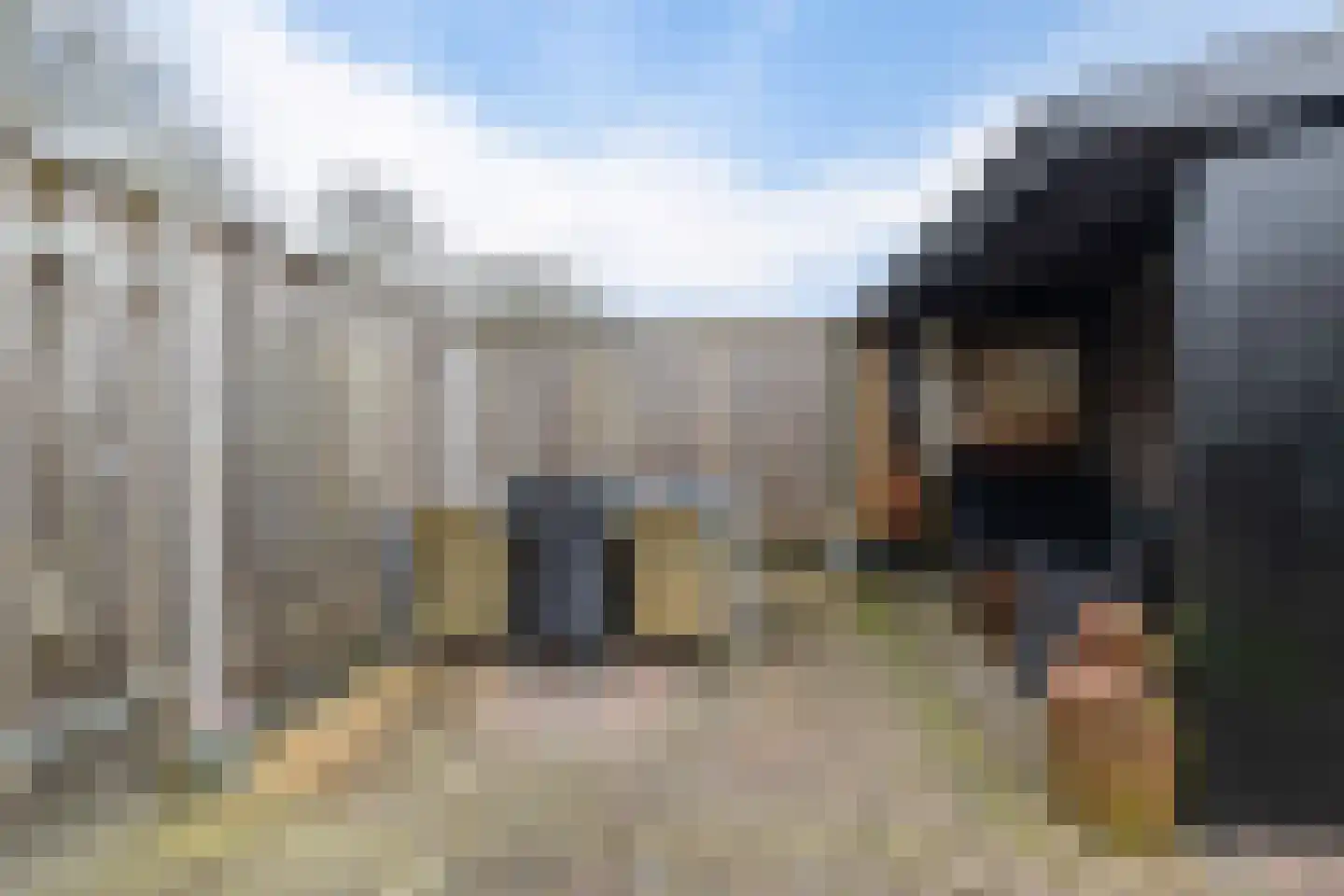 Russchenreed 15 Wijnjewoude thumbnail 36