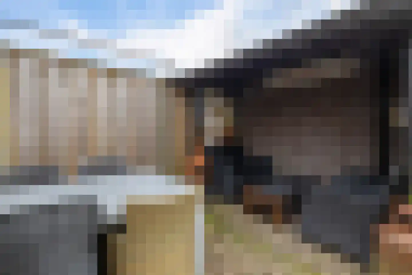 Russchenreed 15 Wijnjewoude thumbnail 37