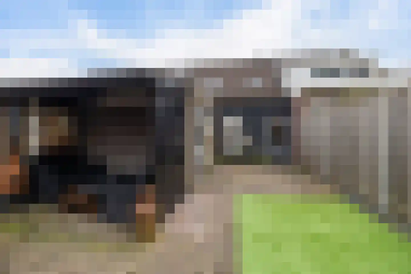 Russchenreed 15 Wijnjewoude thumbnail 39