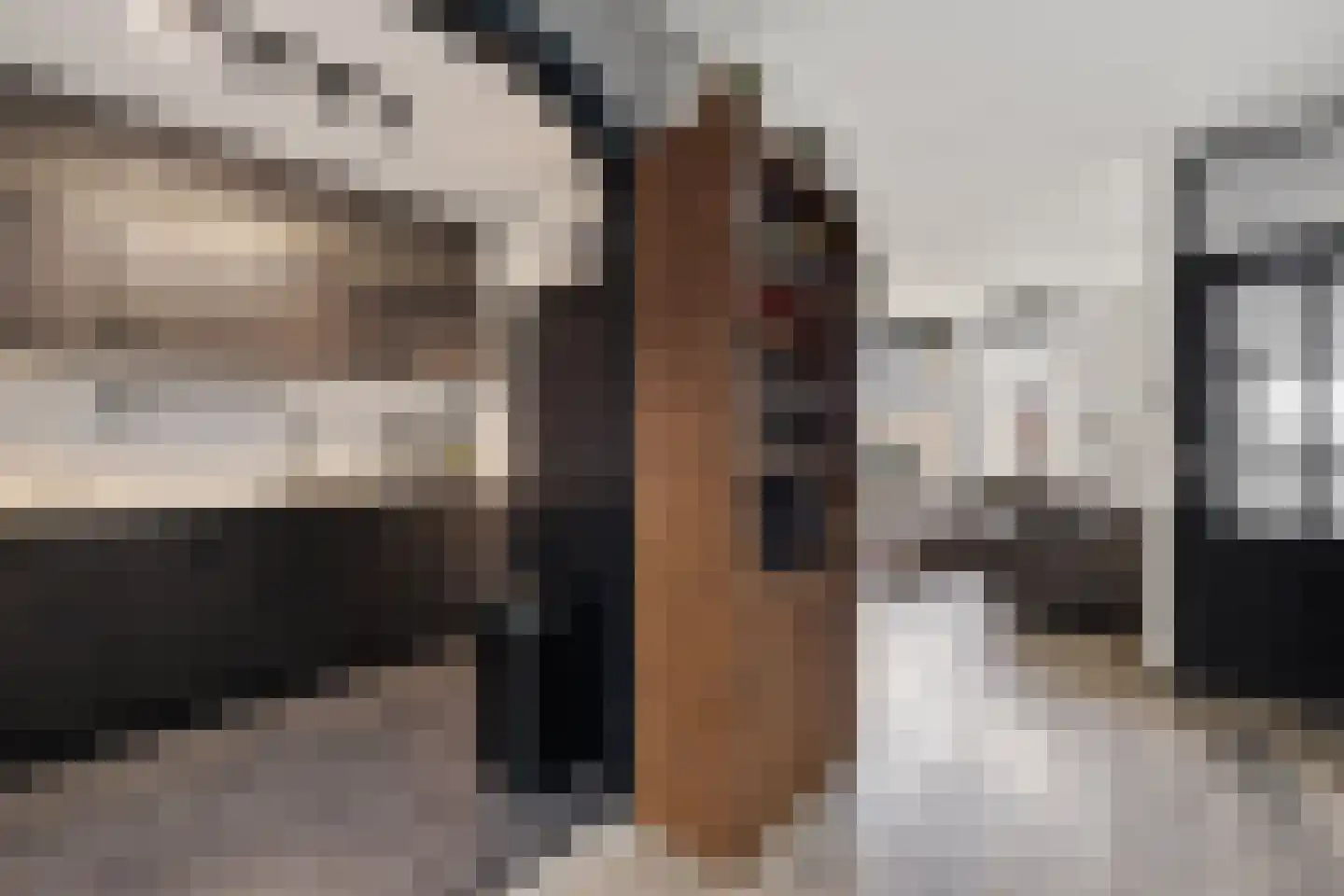 Russchenreed 15 Wijnjewoude thumbnail 4