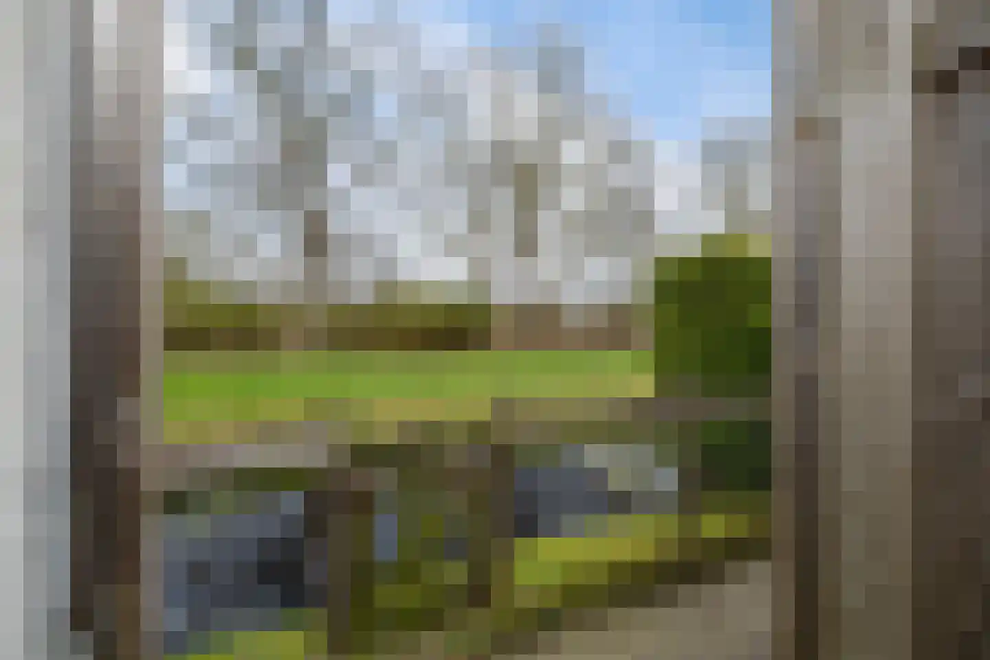 Russchenreed 15 Wijnjewoude thumbnail 40
